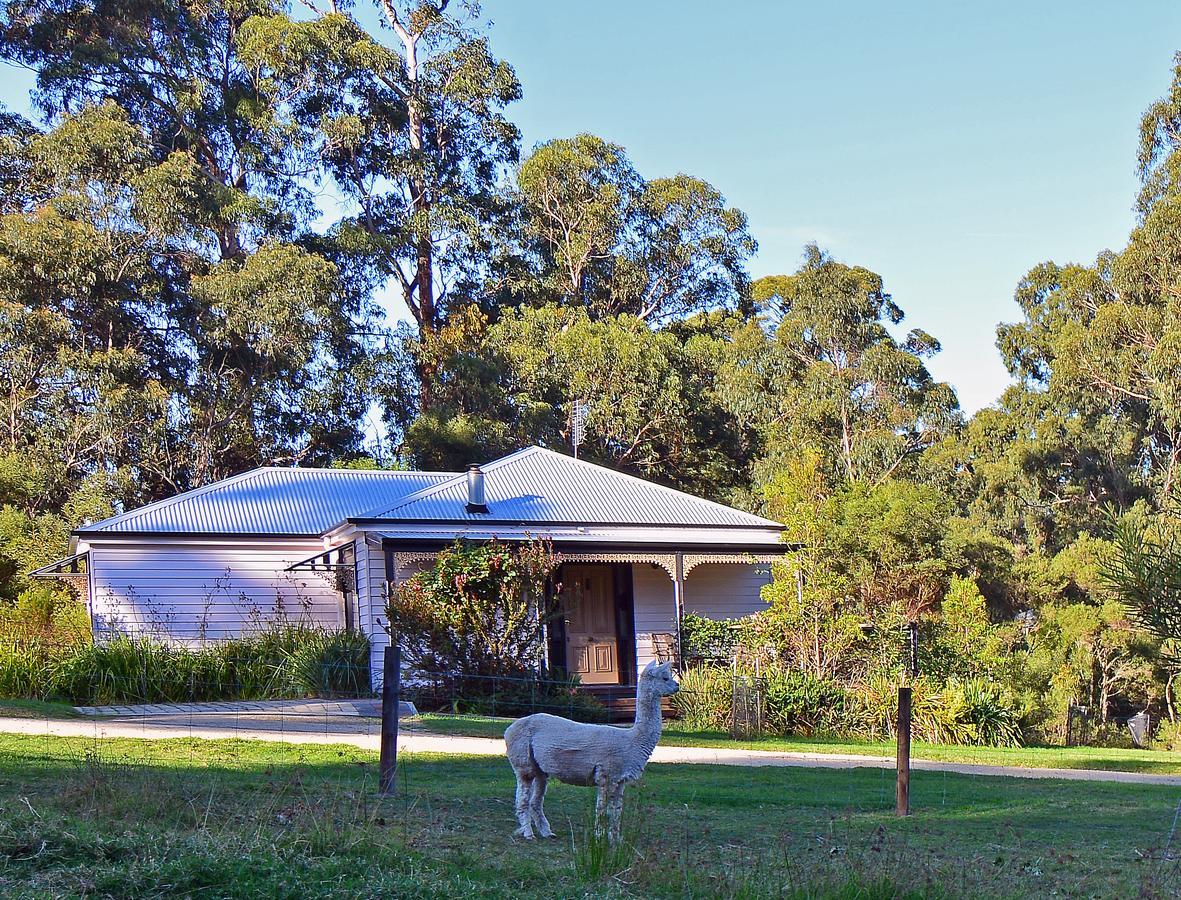 Araluen Park Cottages Lakes Entrance Εξωτερικό φωτογραφία