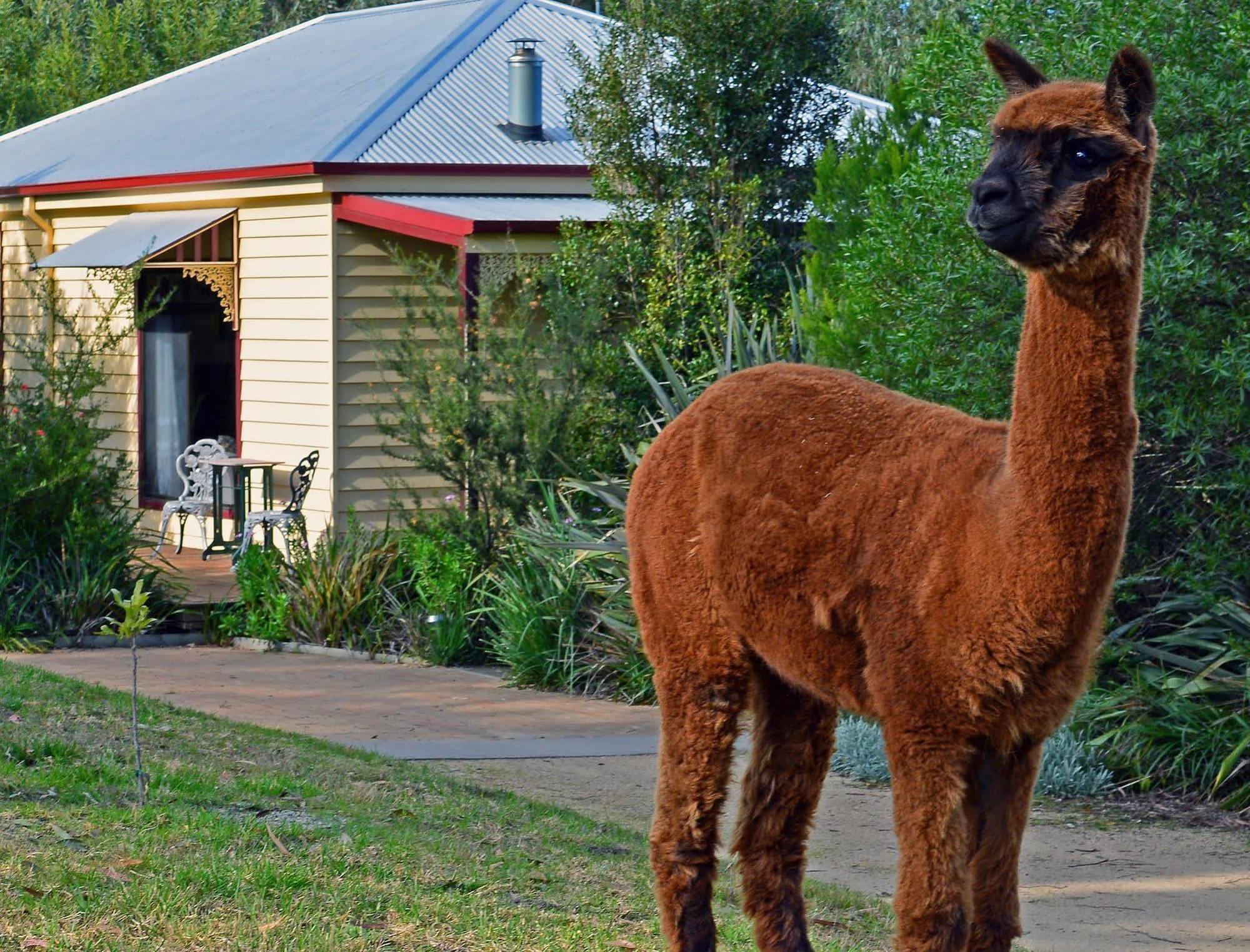 Araluen Park Cottages Lakes Entrance Εξωτερικό φωτογραφία