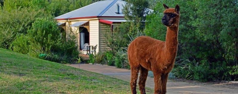 Araluen Park Cottages Lakes Entrance Εξωτερικό φωτογραφία